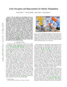Active Perception and Representation for Robotic Manipulation