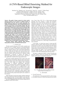 A CNN-Based Blind Denoising Method for Endoscopic Images