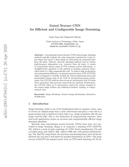 Gated Texture CNN for Efficient and Configurable Image Denoising