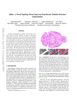 clDice -- A Novel Topology-Preserving Loss Function for Tubular
  Structure Segmentation