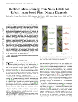 Rectified Meta-Learning from Noisy Labels for Robust Image-based Plant
  Disease Diagnosis