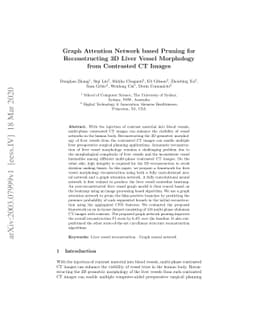 Graph Attention Network based Pruning for Reconstructing 3D Liver Vessel
  Morphology from Contrasted CT Images