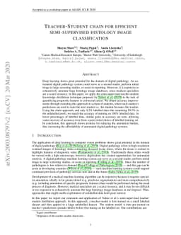 Teacher-Student chain for efficient semi-supervised histology image
  classification
