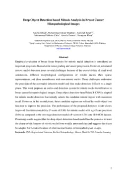 Deep Object Detection based Mitosis Analysis in Breast Cancer
  Histopathological Images