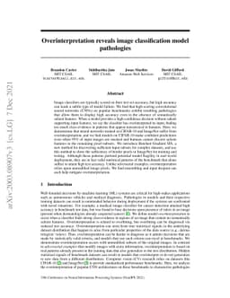 Overinterpretation reveals image classification model pathologies