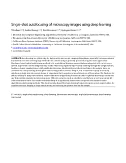 Single-shot autofocusing of microscopy images using deep learning