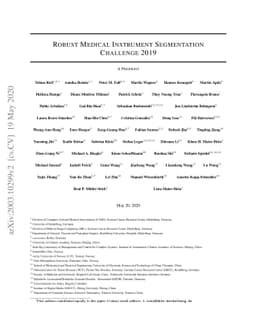 Robust Medical Instrument Segmentation Challenge 2019