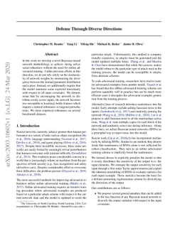 Defense Through Diverse Directions