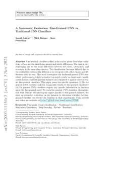A Systematic Evaluation: Fine-Grained CNN vs. Traditional CNN
  Classifiers