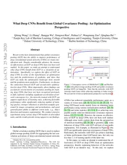 What Deep CNNs Benefit from Global Covariance Pooling: An Optimization
  Perspective
