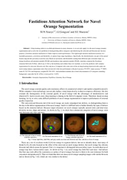 Fastidious Attention Network for Navel Orange Segmentation