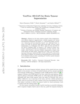 Vox2Vox: 3D-GAN for Brain Tumour Segmentation