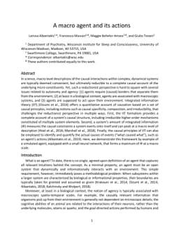 A macro agent and its actions