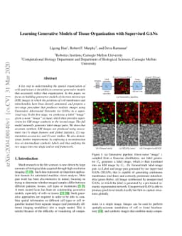 Learning Generative Models of Tissue Organization with Supervised GANs