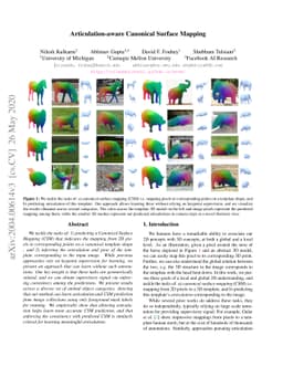 Articulation-aware Canonical Surface Mapping
