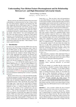 Understanding (Non-)Robust Feature Disentanglement and the Relationship
  Between Low- and High-Dimensional Adversarial Attacks