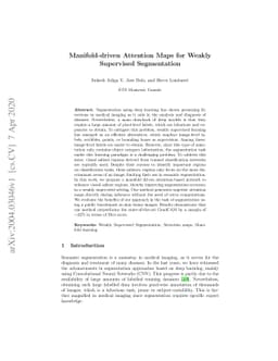 Manifold-driven Attention Maps for Weakly Supervised Segmentation