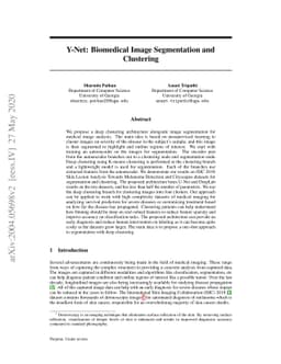 Y-net: Biomedical Image Segmentation and Clustering