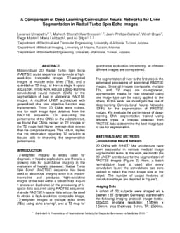 A Comparison of Deep Learning Convolution Neural Networks for Liver
  Segmentation in Radial Turbo Spin Echo Images
