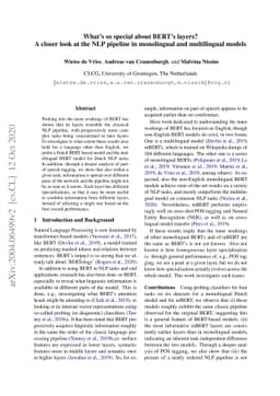 What's so special about BERT's layers? A closer look at the NLP pipeline
  in monolingual and multilingual models