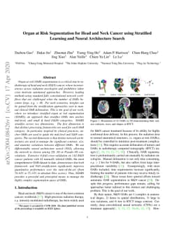 Organ at Risk Segmentation for Head and Neck Cancer using Stratified
  Learning and Neural Architecture Search