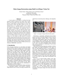 Moire Image Restoration using Multi Level Hyper Vision Net