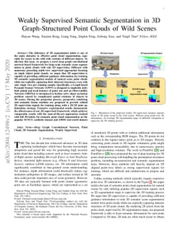 Weakly Supervised Semantic Segmentation in 3D Graph-Structured Point
  Clouds of Wild Scenes