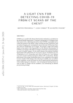 A Light CNN for detecting COVID-19 from CT scans of the chest