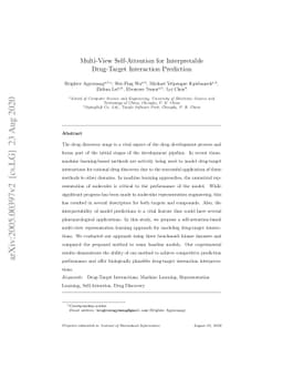 Multi-View Self-Attention for Interpretable Drug-Target Interaction
  Prediction