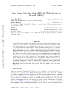 Knee Injury Detection using MRI with Efficiently-Layered Network (ELNet)