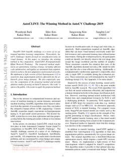 AutoCLINT: The Winning Method in AutoCV Challenge 2019
