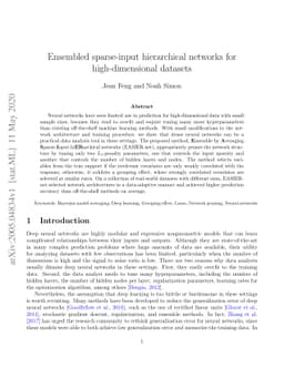 Ensembled sparse-input hierarchical networks for high-dimensional
  datasets
