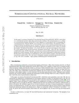 Normalized Convolutional Neural Network