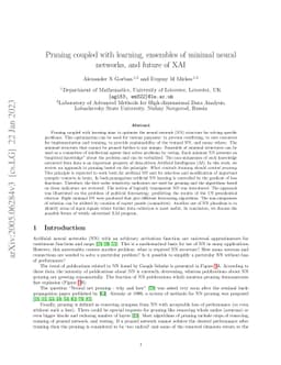 Pruning coupled with learning, ensembles of minimal neural networks, and
  future of XAI