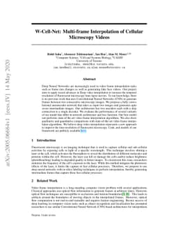 W-Cell-Net: Multi-frame Interpolation of Cellular Microscopy Videos