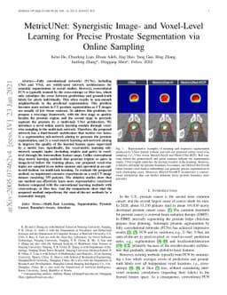 MetricUNet: Synergistic Image- and Voxel-Level Learning for Precise CT
  Prostate Segmentation via Online Sampling