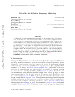 MicroNet for Efficient Language Modeling