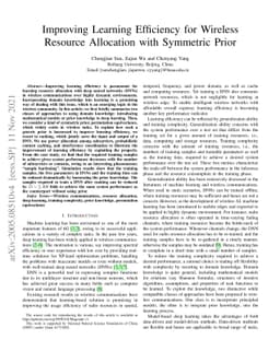 Improving Learning Efficiency for Wireless Resource Allocation with
  Symmetric Prior