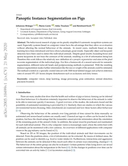 Panoptic Instance Segmentation on Pigs