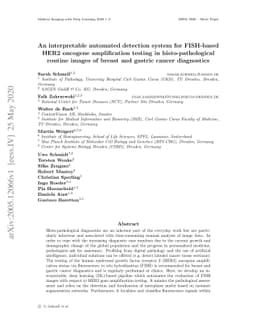 An interpretable automated detection system for FISH-based HER2 oncogene
  amplification testing in histo-pathological routine images of breast and
  gastric cancer diagnostics