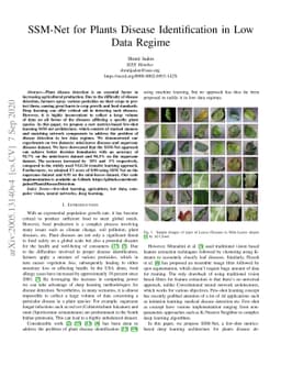 SSM-Net for Plants Disease Identification in Low Data Regime