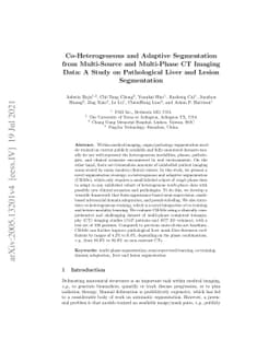 Co-Heterogeneous and Adaptive Segmentation from Multi-Source and
  Multi-Phase CT Imaging Data: A Study on Pathological Liver and Lesion
  Segmentation