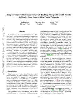 Deep Sensory Substitution: Noninvasively Enabling Biological Neural
  Networks to Receive Input from Artificial Neural Networks
