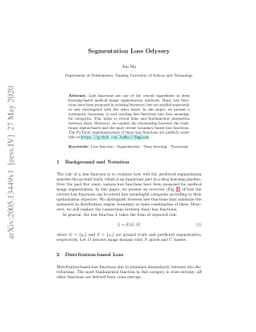 Segmentation Loss Odyssey