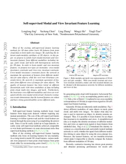 Self-supervised Modal and View Invariant Feature Learning
