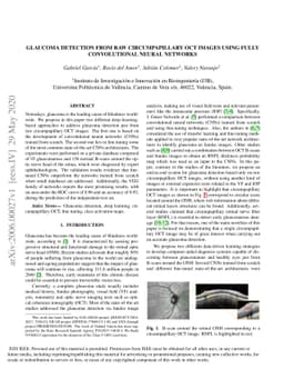 Glaucoma Detection From Raw Circumapillary OCT Images Using Fully
  Convolutional Neural Networks