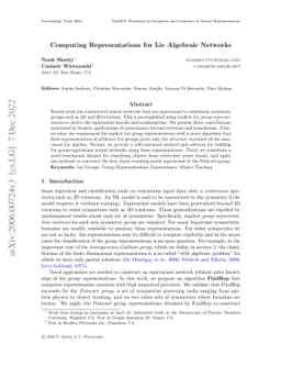 Computing Representations for Lie Algebraic Networks