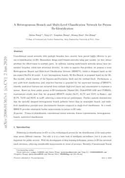 A heterogeneous branch and multi-level classification network for person
  re-identification