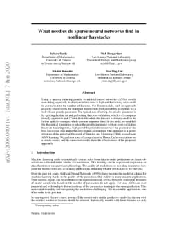 What needles do sparse neural networks find in nonlinear haystacks