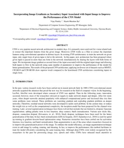 Incorporating Image Gradients as Secondary Input Associated with Input
  Image to Improve the Performance of the CNN Model